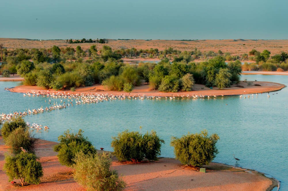 جاذبه گردشگری دریاچه القدرا دبی