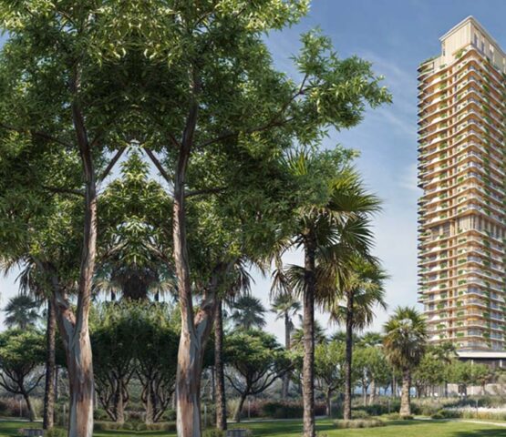 Palm-lined entrance to The Mural by Beyond in Dubai with coastal tower views