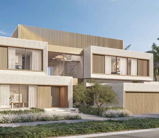 The Coral Collection