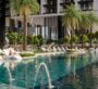 Resort-style swimming pool at The Eden surrounded by palm trees and sun loungers
