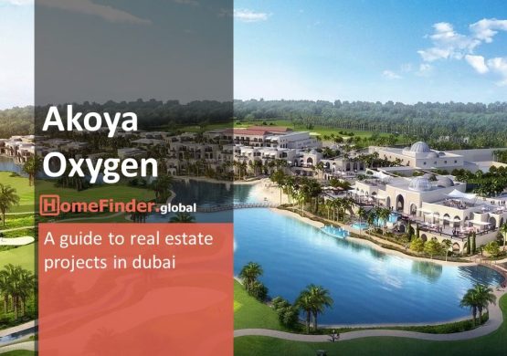 Dubai Real Estate Akoya Oxygen Properties A Comprehensive Overview